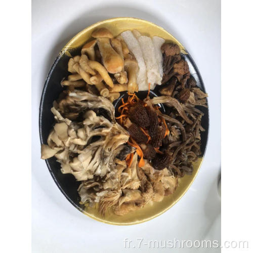 Base à soupe avec champignon assorti congelé